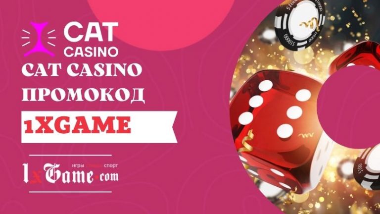 cat casino фриспины промокод