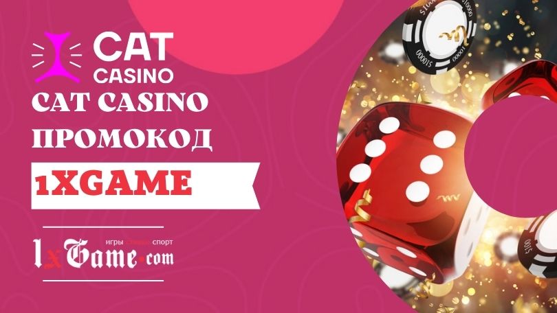 Cat Casino промокод - получите два бонуса при регистрации 27000 RUB + 180 FS