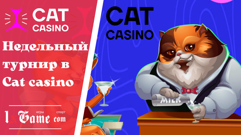 Недельный турнир в Cat casino