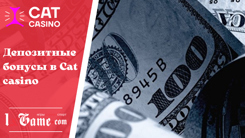 Депозитные бонусы в Cat casino