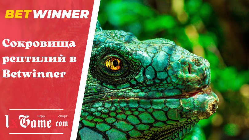 Сокровища рептилий в Betwinner
