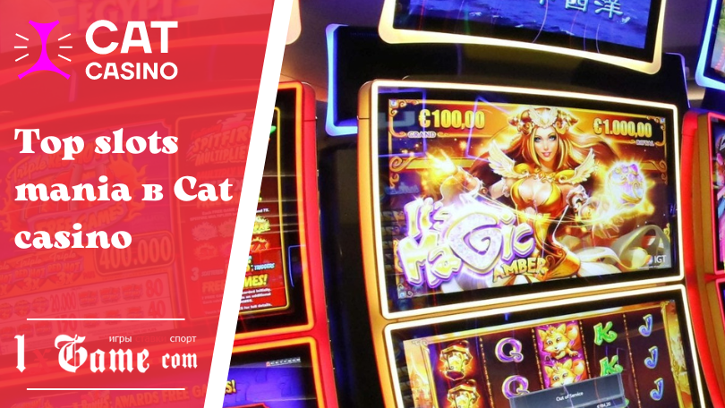 Top slots mania в Cat casino