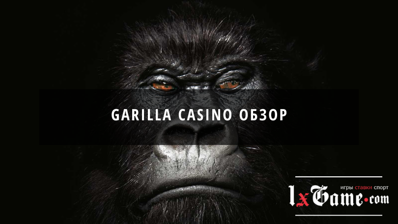 Garilla casino обзор