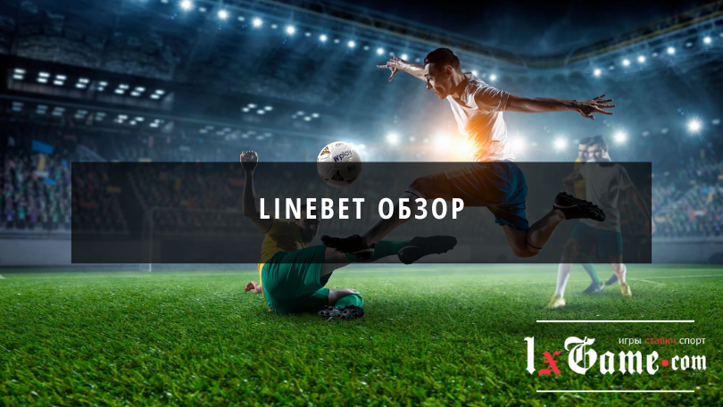 Linebet обзор