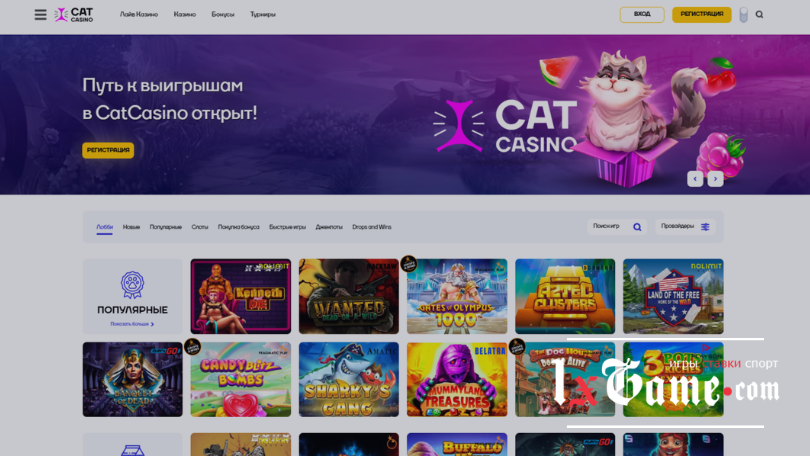 Cat Casino обзор