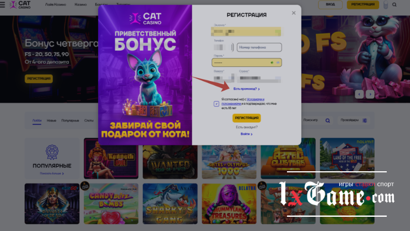 Cat Casino обзор