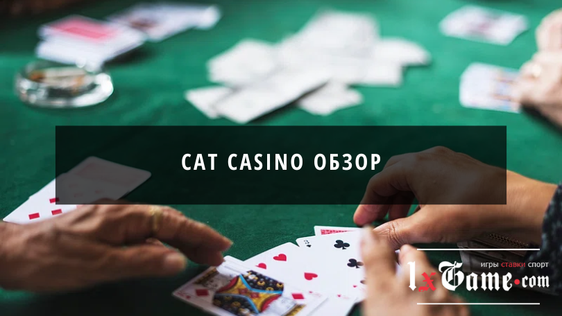 Cat Casino обзор