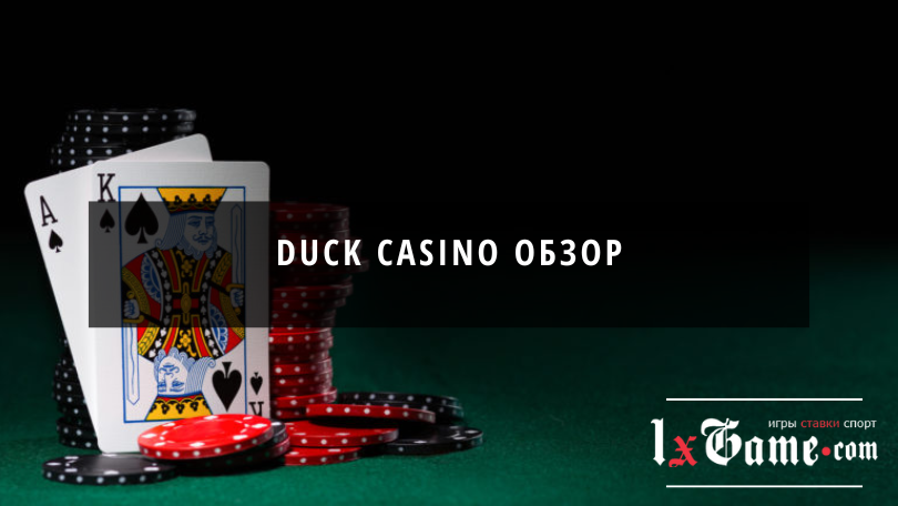 Duck casino обзор