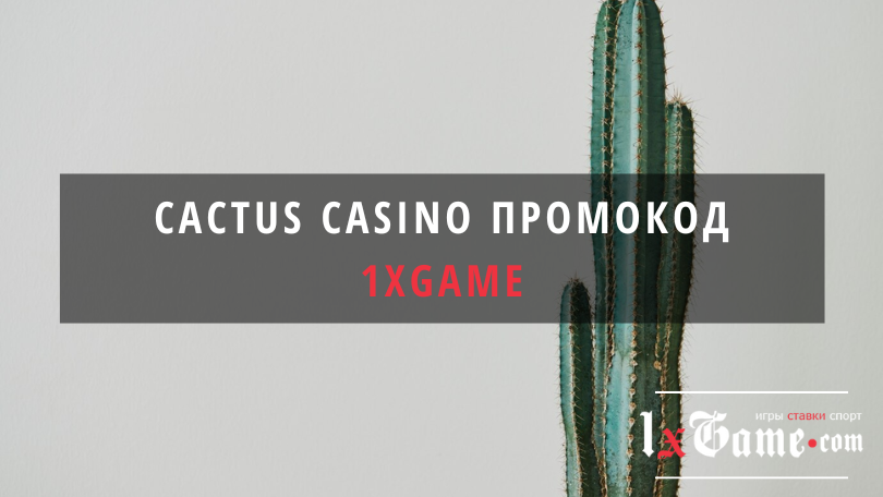 Cactus casino промокод при регистрации