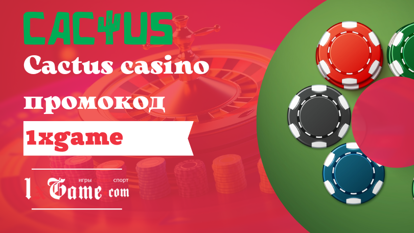 Cactus casino промокод