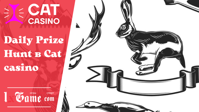 Daily Prize Hunt в Cat casino