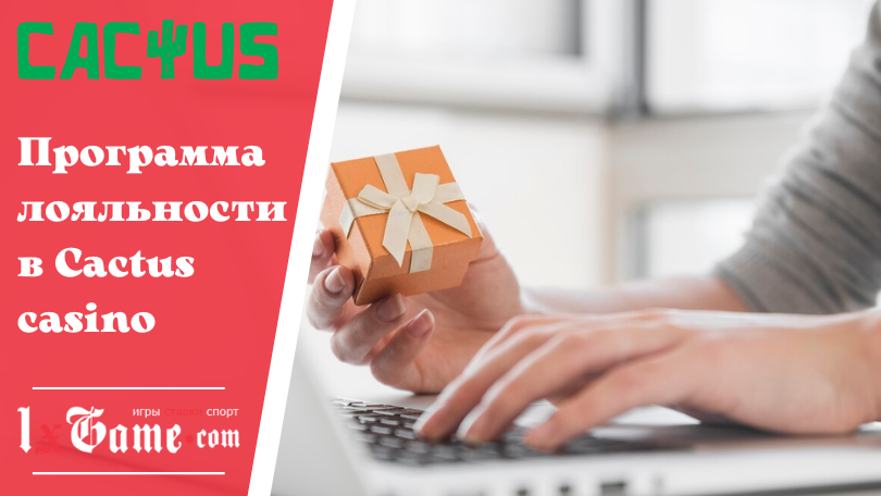 Программа лояльности в Cactus casino