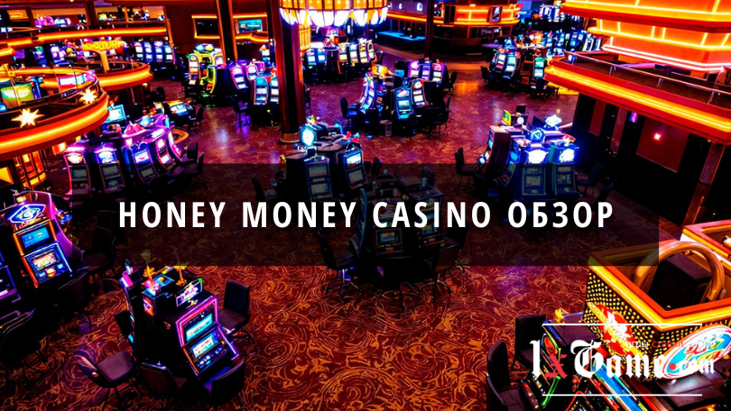 Honey money casino обзор официального сайта