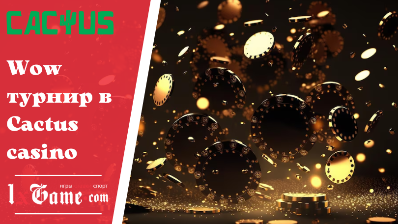Wow турнир в Cactus casino