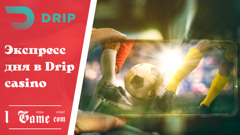 Экспресс дня в Drip casino