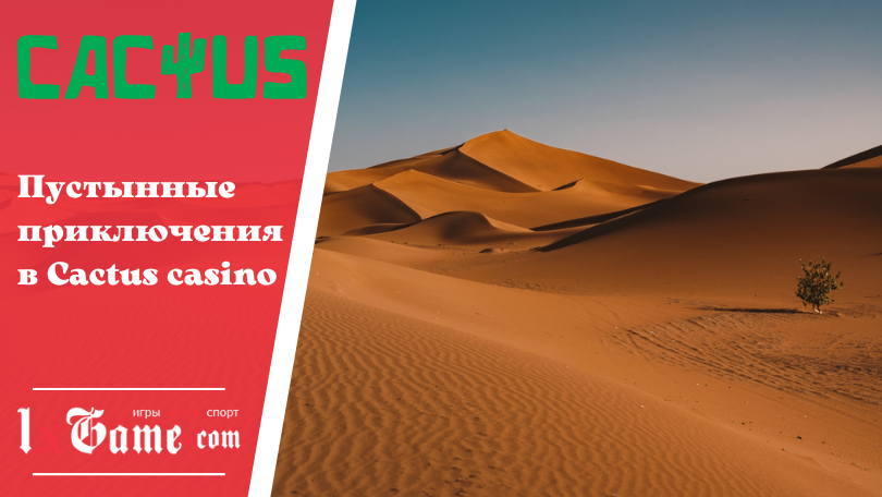 Пустынные приключения в Cactus casino