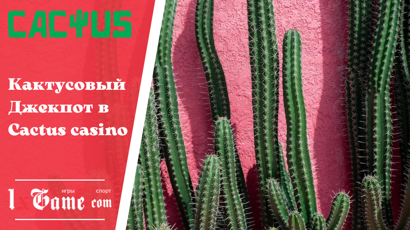Кактусовый Джекпот в Cactus casino