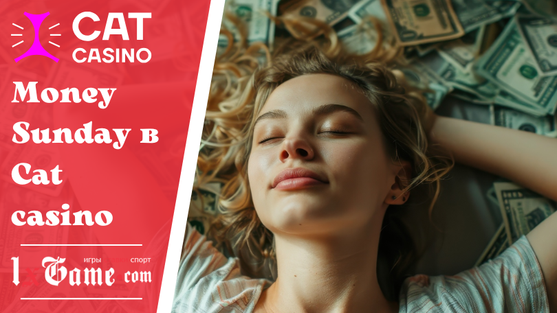 Money Sunday в Cat casino