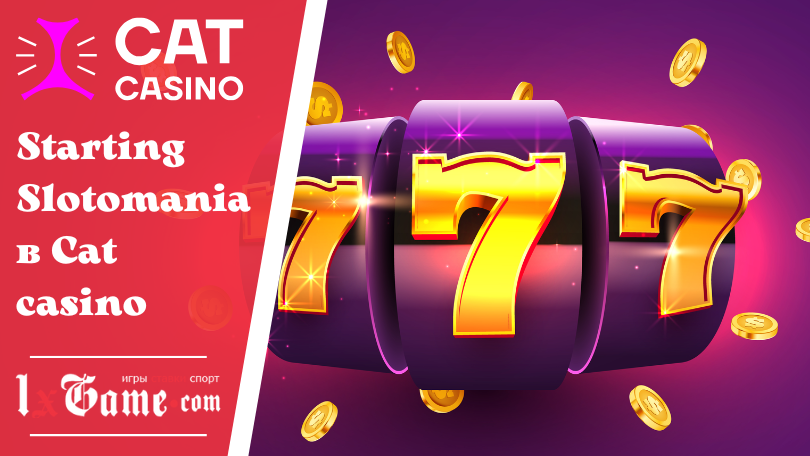 Starting Slotomania в Cat casino