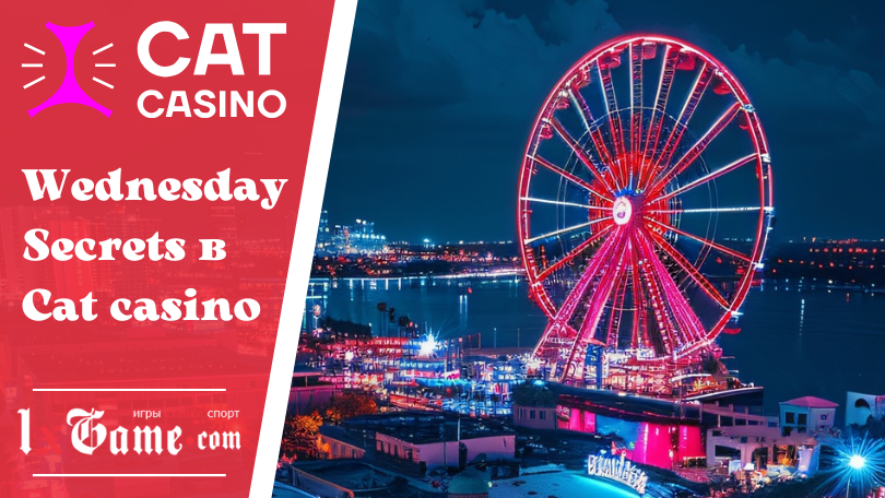 Wednesday Secrets в Cat casino