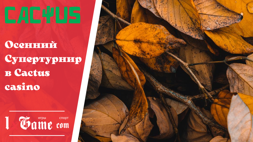 Осенний Супертурнир в Cactus casino