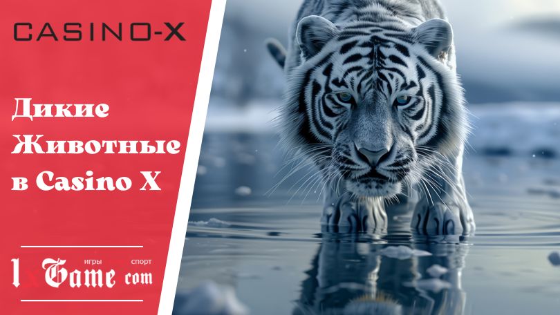 Дикие Животные в Casino X