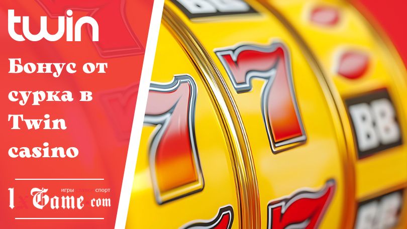 Бонус от сурка в Twin casino