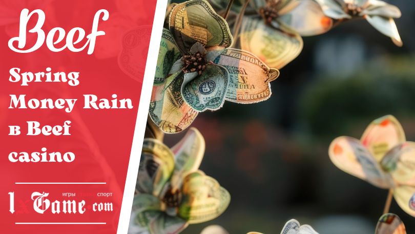 Spring Money Rain в Beef casino